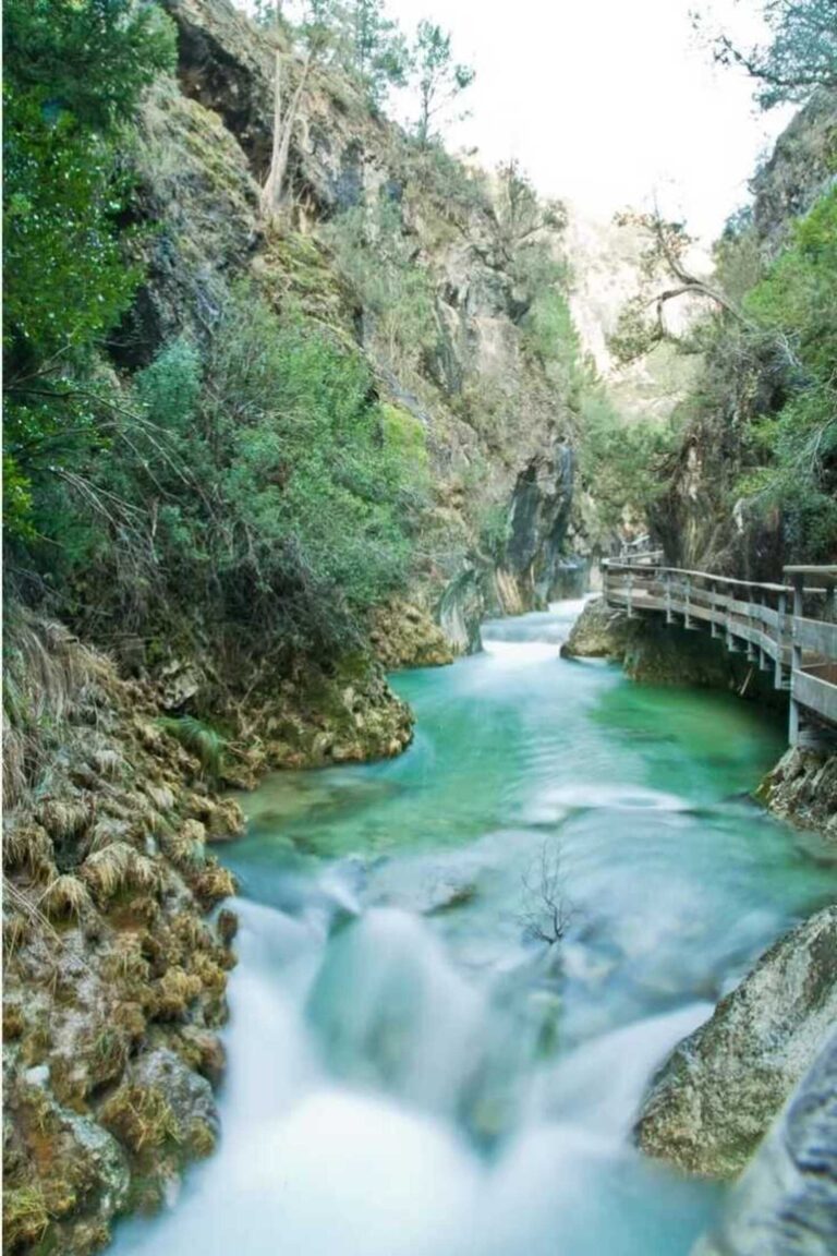 CAZORLA 4