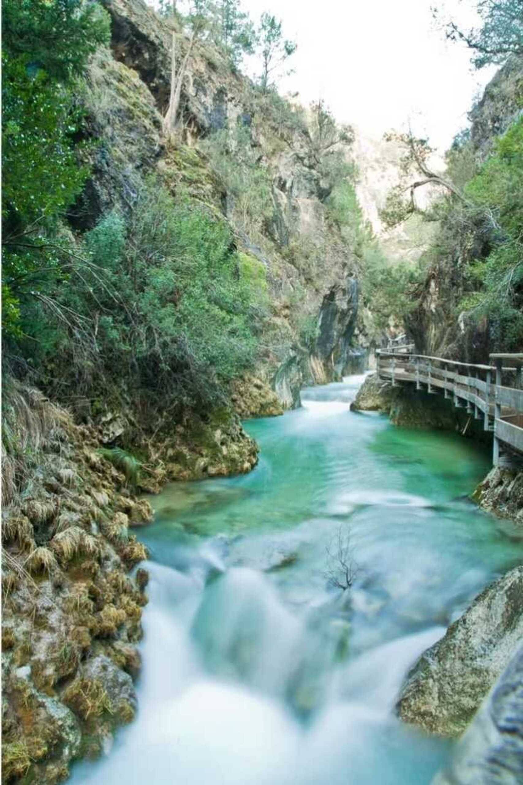 CAZORLA 4