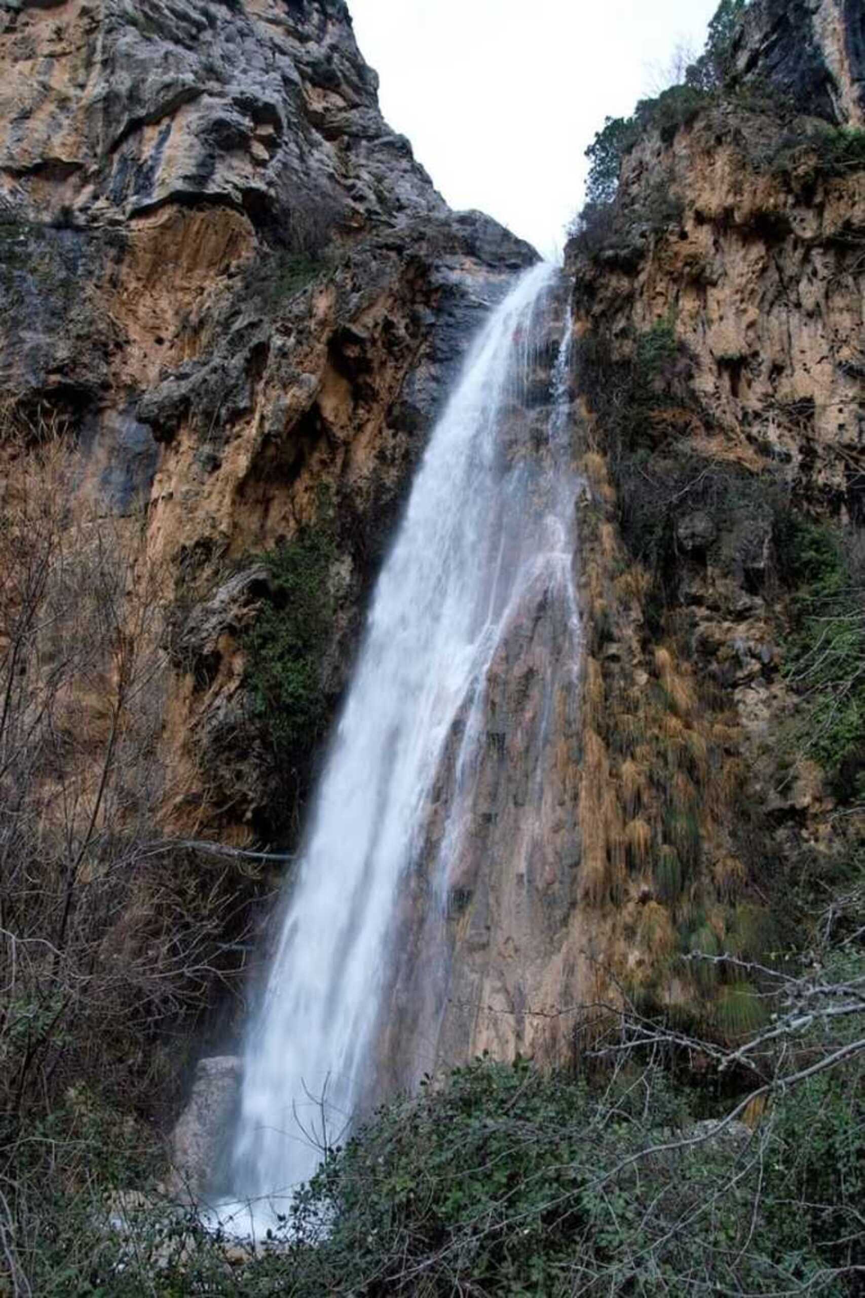 CAZORLA 5