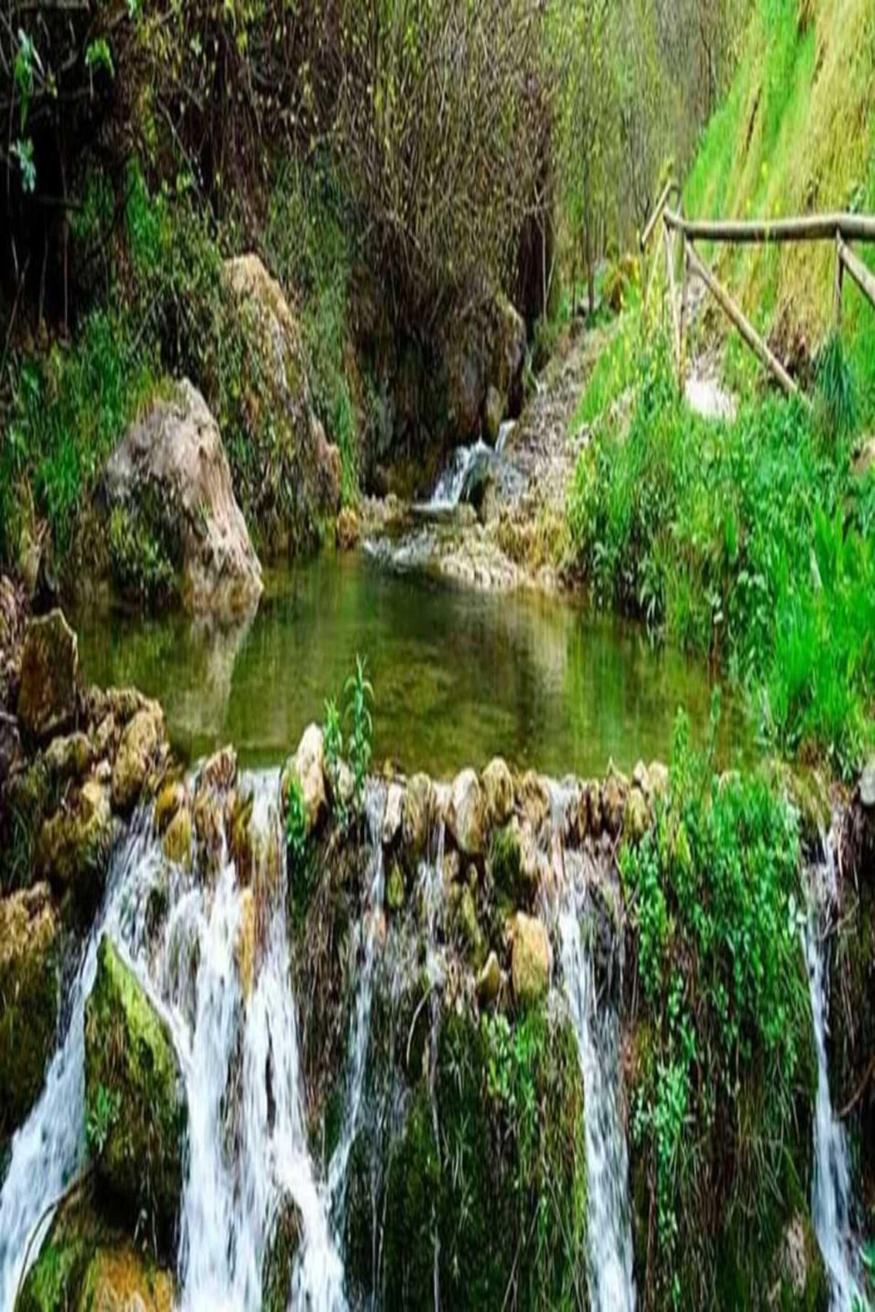 CAZORLA 6
