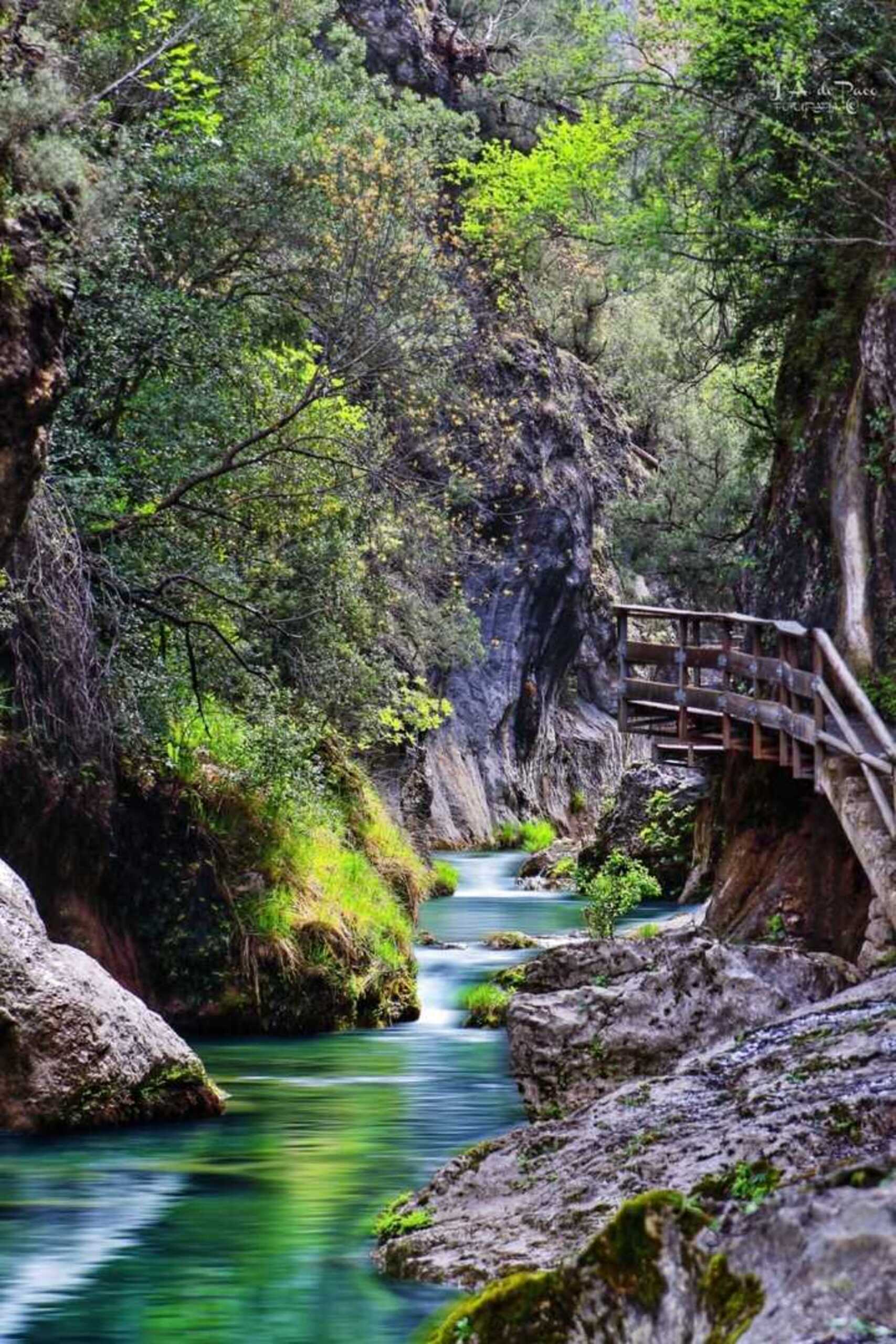 CAZORLA 8