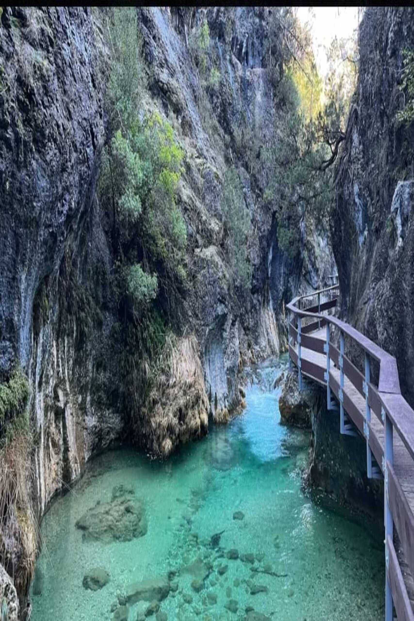 CAZORLA 9