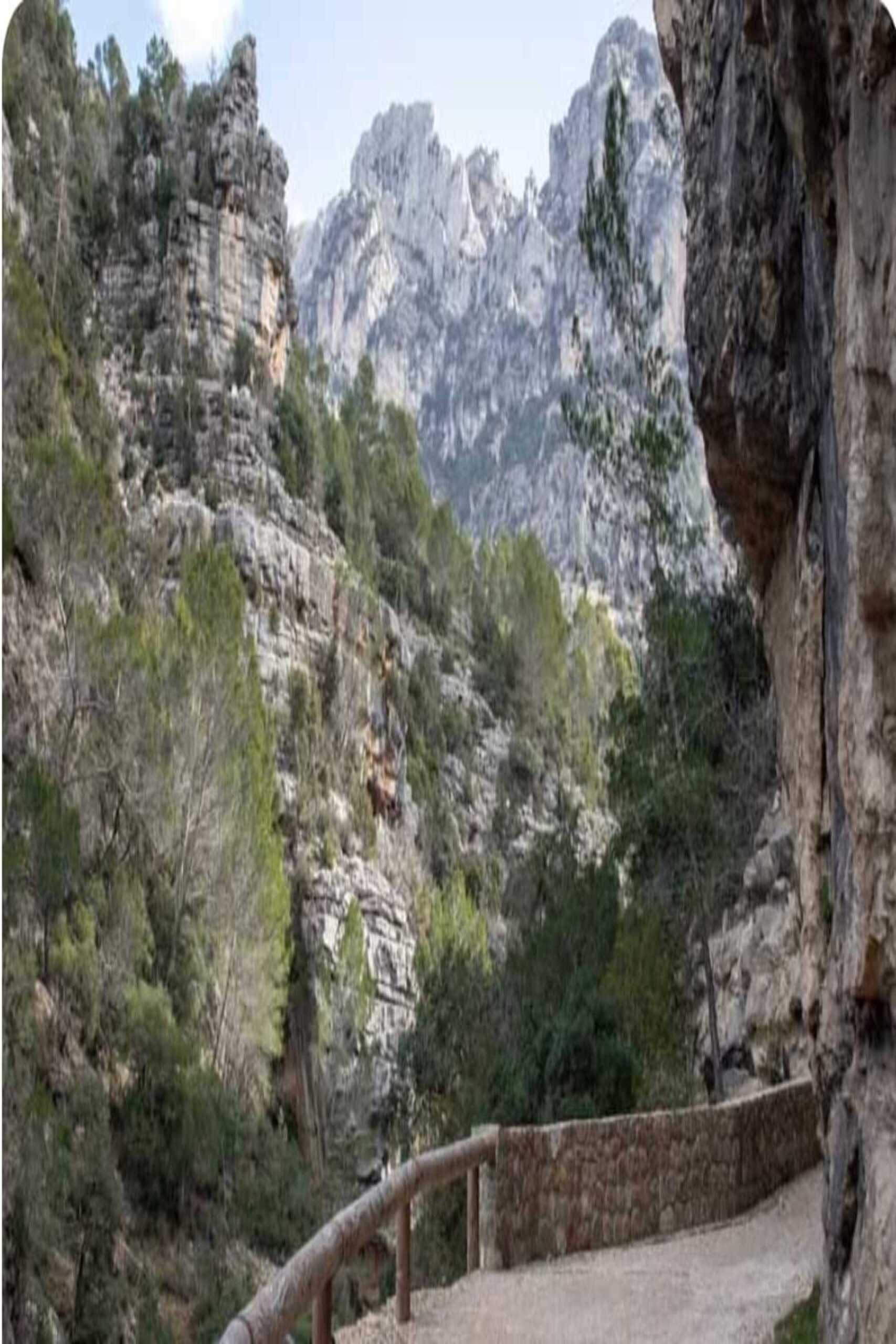 CAZORLA1