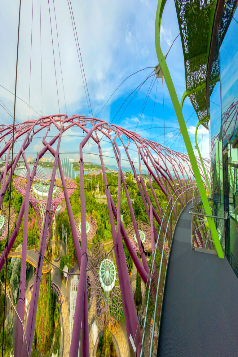 gardens by the bay